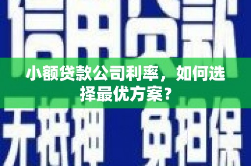 濮阳小额贷款公司利率，如何选择最优方案？