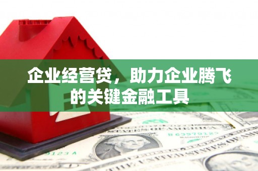 濮阳企业经营贷，助力企业腾飞的关键金融工具