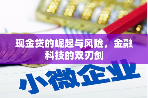 濮阳现金贷的崛起与风险，金融科技的双刃剑