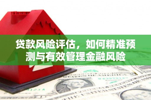 濮阳贷款风险评估，如何精准预测与有效管理金融风险