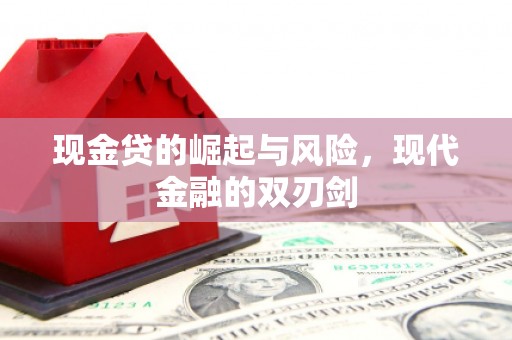 濮阳现金贷的崛起与风险，现代金融的双刃剑