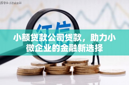 濮阳小额贷款公司贷款，助力小微企业的金融新选择