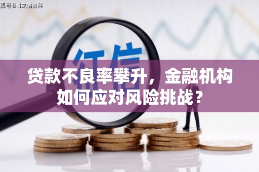 濮阳贷款不良率攀升，金融机构如何应对风险挑战？