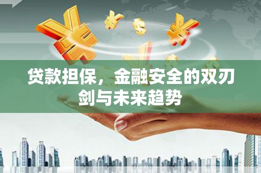 濮阳贷款担保，金融安全的双刃剑与未来趋势