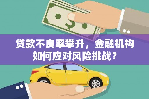 濮阳贷款不良率攀升，金融机构如何应对风险挑战？