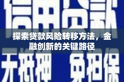 濮阳探索贷款风险转移方法，金融创新的关键路径