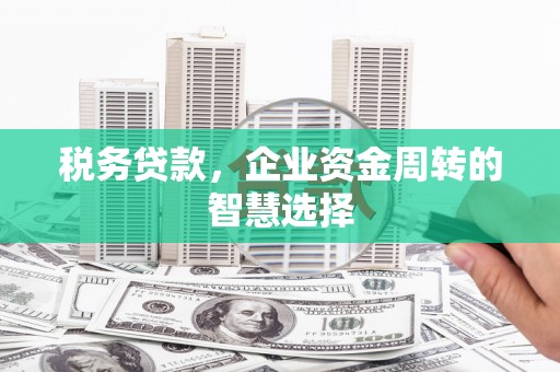 濮阳税务贷款，企业资金周转的智慧选择
