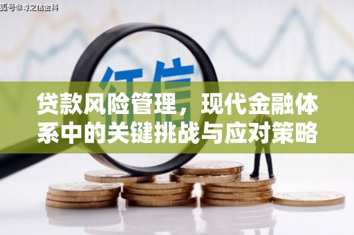 濮阳贷款风险管理，现代金融体系中的关键挑战与应对策略