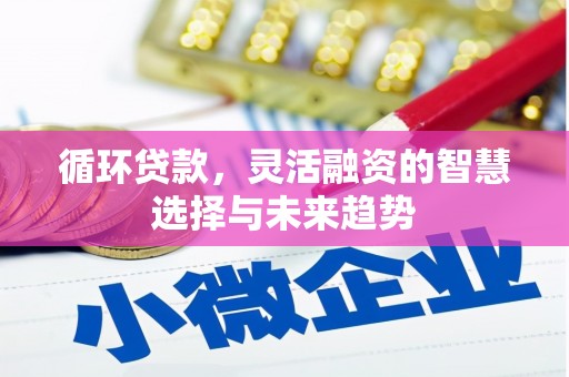 濮阳循环贷款，灵活融资的智慧选择与未来趋势