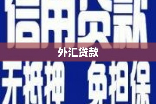 濮阳外汇贷款