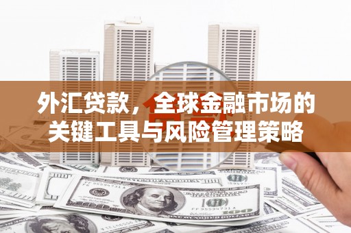 濮阳外汇贷款，全球金融市场的关键工具与风险管理策略