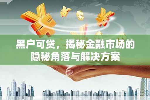 濮阳黑户可贷，揭秘金融市场的隐秘角落与解决方案