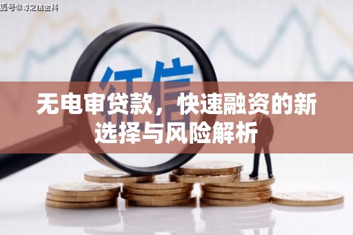 濮阳无电审贷款，快速融资的新选择与风险解析