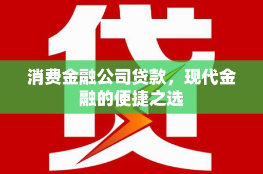 濮阳消费金融公司贷款，现代金融的便捷之选