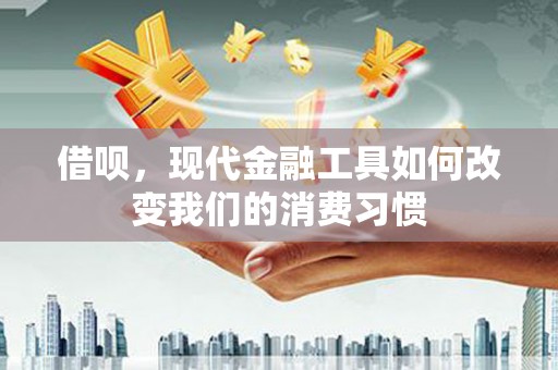 濮阳借呗，现代金融工具如何改变我们的消费习惯