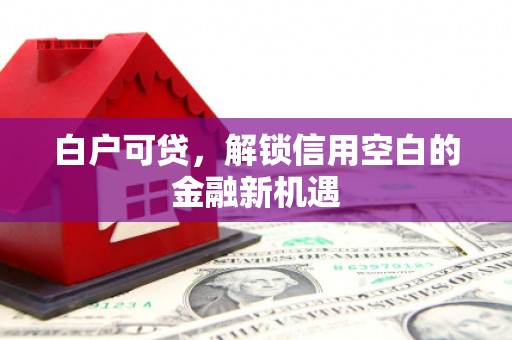 濮阳白户可贷，解锁信用空白的金融新机遇
