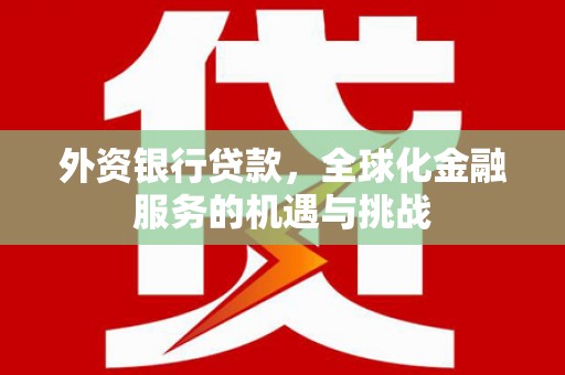濮阳外资银行贷款，全球化金融服务的机遇与挑战