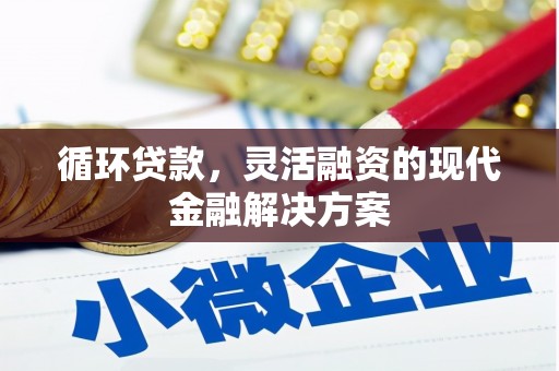濮阳循环贷款，灵活融资的现代金融解决方案