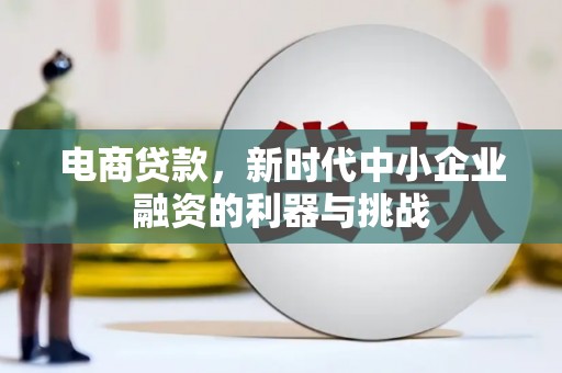 濮阳电商贷款，新时代中小企业融资的利器与挑战