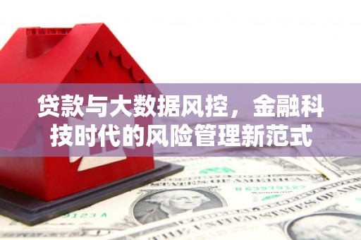 濮阳贷款与大数据风控，金融科技时代的风险管理新范式