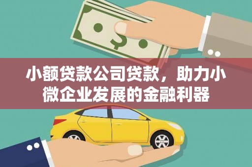 濮阳小额贷款公司贷款，助力小微企业发展的金融利器