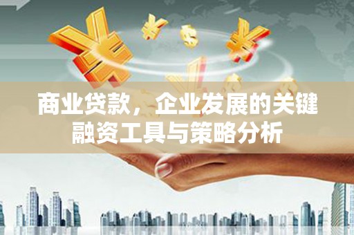 濮阳商业贷款，企业发展的关键融资工具与策略分析