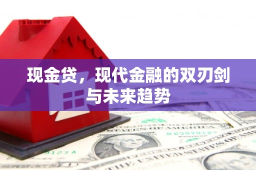 濮阳现金贷，现代金融的双刃剑与未来趋势