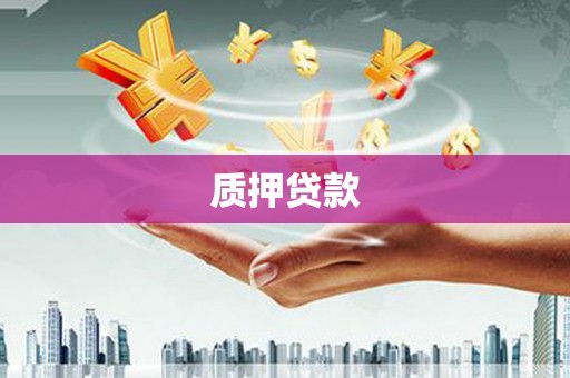 濮阳质押贷款