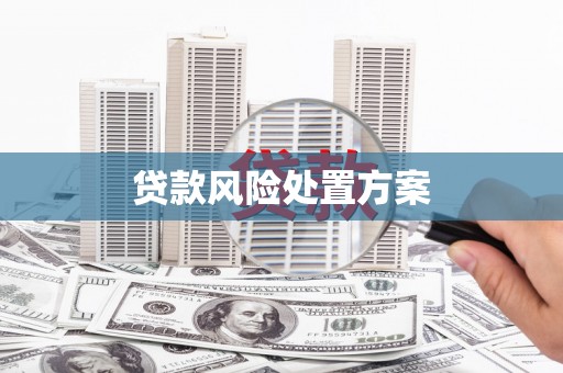 濮阳贷款风险处置方案