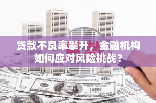 濮阳贷款不良率攀升，金融机构如何应对风险挑战？