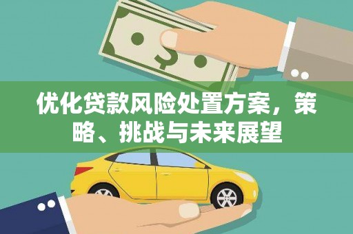 濮阳优化贷款风险处置方案，策略、挑战与未来展望