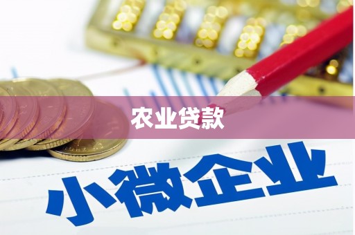 濮阳农业贷款
