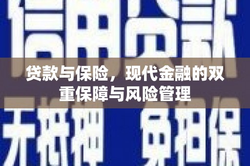濮阳贷款与保险，现代金融的双重保障与风险管理
