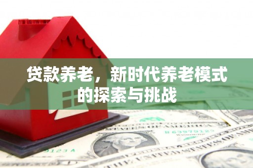 濮阳贷款养老，新时代养老模式的探索与挑战