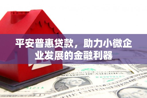 濮阳平安普惠贷款，助力小微企业发展的金融利器