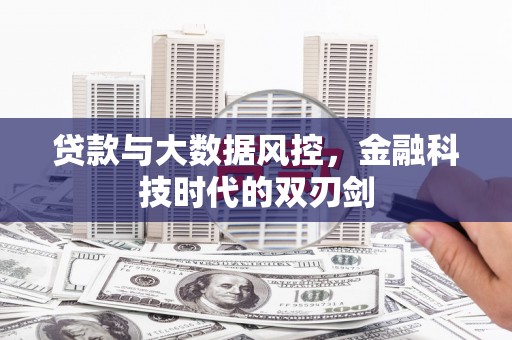 濮阳贷款与大数据风控，金融科技时代的双刃剑