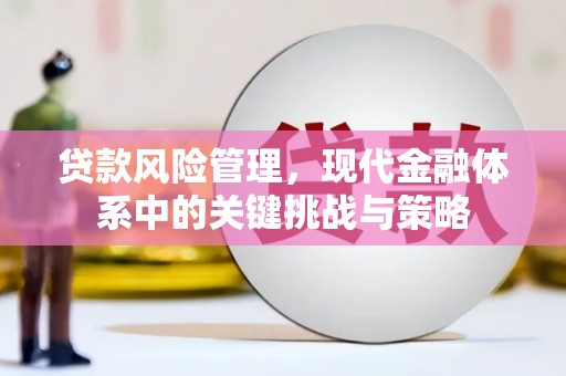 濮阳贷款风险管理，现代金融体系中的关键挑战与策略