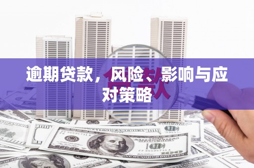 濮阳逾期贷款，风险、影响与应对策略