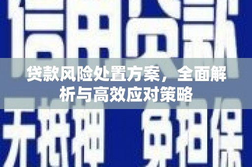 濮阳贷款风险处置方案，全面解析与高效应对策略