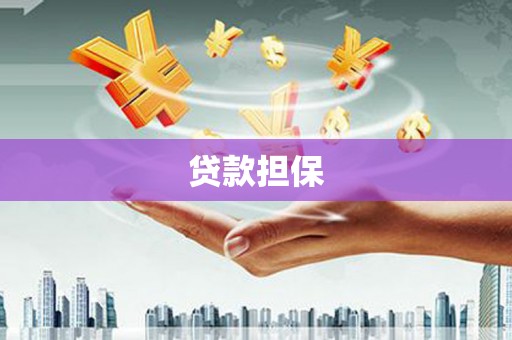 濮阳贷款担保