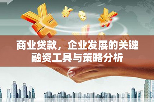 濮阳商业贷款，企业发展的关键融资工具与策略分析