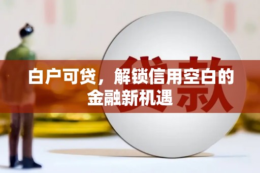 濮阳白户可贷，解锁信用空白的金融新机遇