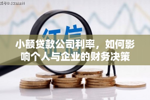 濮阳小额贷款公司利率，如何影响个人与企业的财务决策