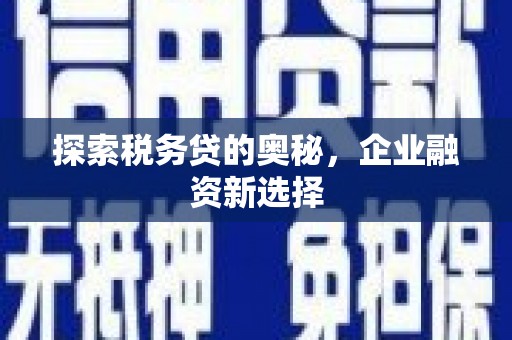 濮阳探索税务贷的奥秘，企业融资新选择