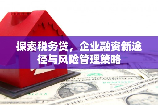 濮阳探索税务贷，企业融资新途径与风险管理策略