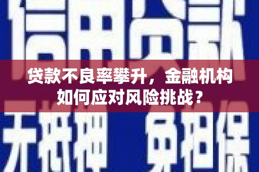 濮阳贷款不良率攀升，金融机构如何应对风险挑战？
