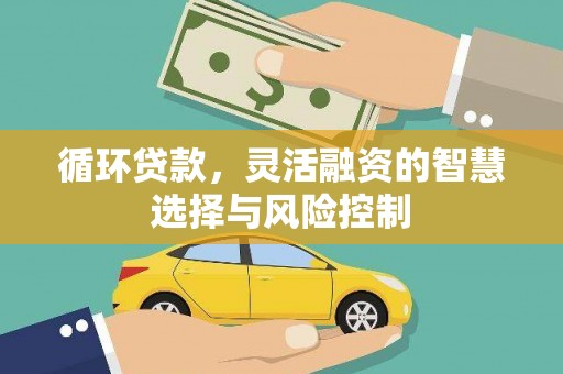 濮阳循环贷款，灵活融资的智慧选择与风险控制