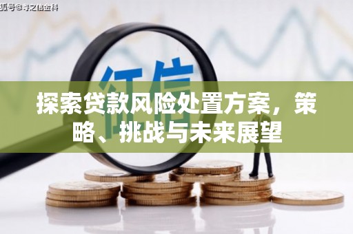 濮阳探索贷款风险处置方案，策略、挑战与未来展望