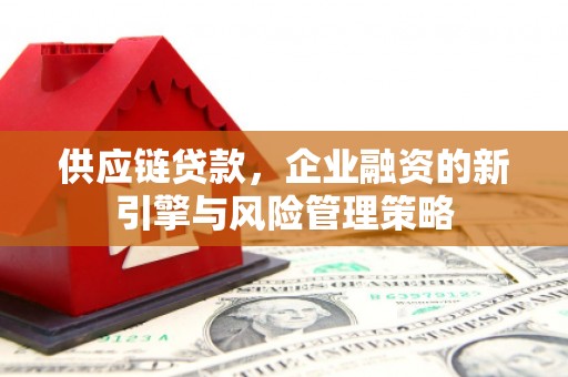 濮阳供应链贷款，企业融资的新引擎与风险管理策略