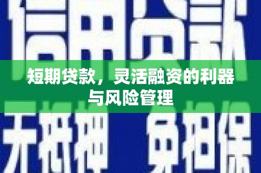 濮阳短期贷款，灵活融资的利器与风险管理